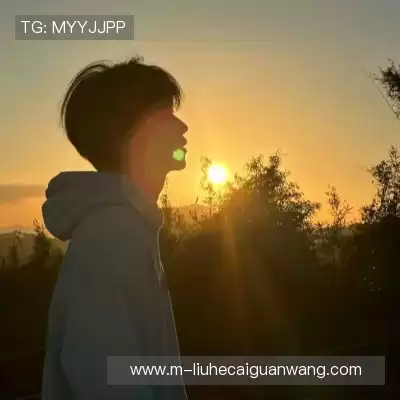 费艾贞